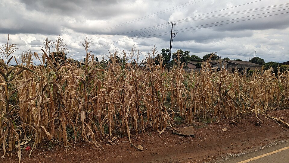 2024 Zambian drought in Lusaka